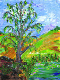 Tree In Tennessee Valley