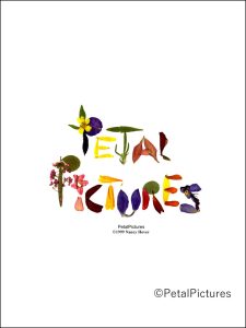 PetalPictures